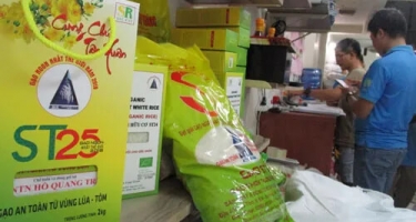 Gạo ST25 Nhiều Tiềm Năng Xuất Khẩu Ra Thị Trường Quốc Tế