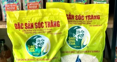 Giá Gạo ST25 Ông Cua Năm 2026 Vẫn Bình Ổn Trong Khi Mọi Thứ Đều Tăng